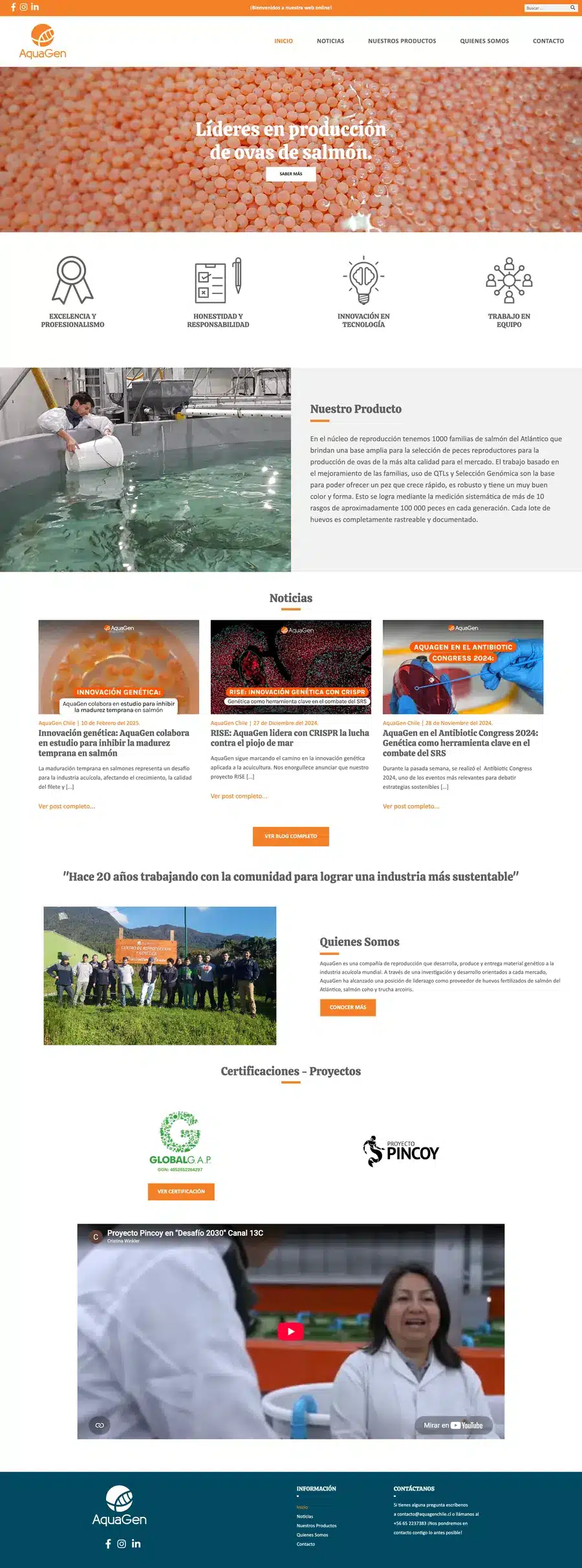 Proyecto de Desarrollo web, landing pages y CRO, ejemplo 4