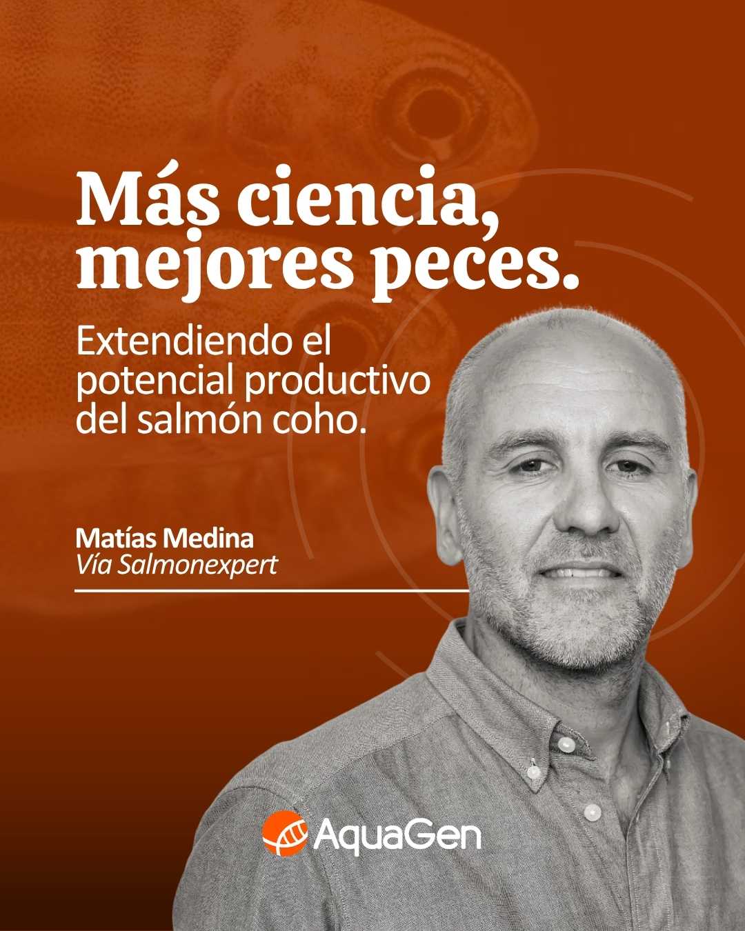 Proyecto de Creatividad para anuncios digitales con IA, ejemplo 10