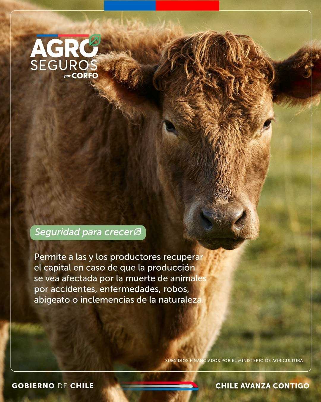 Proyecto de Creatividad para anuncios digitales con IA, ejemplo 4