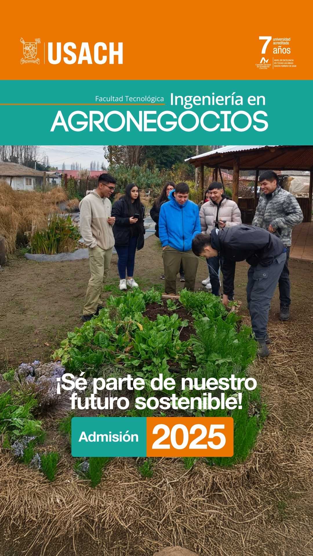 Proyecto de Creatividad para anuncios digitales con IA, ejemplo 11